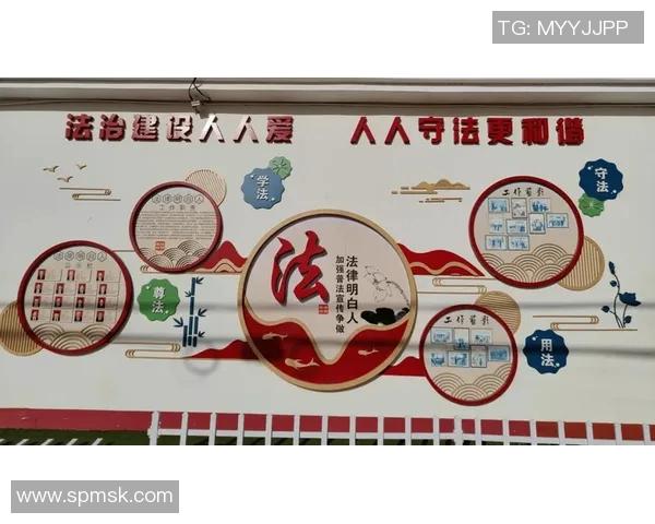 以法治为中心推动社会治理现代化路径探索与实践分析