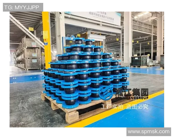 橡胶制品的创新与应用:从工业到日常生活的广泛影响与发展趋势 橡胶制品的创新与应用:从工业到日常生活的广泛影响与发展趋势