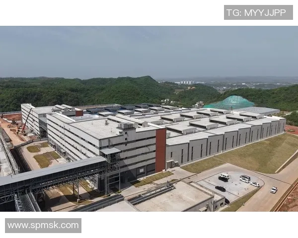 酒业发展新趋势：从传统酿造到创新科技引领未来市场变革