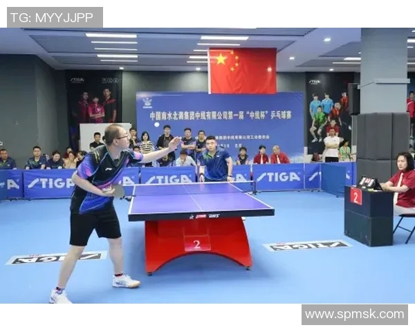 乒乓球传奇陈伟的职业生涯回顾与未来展望对话录