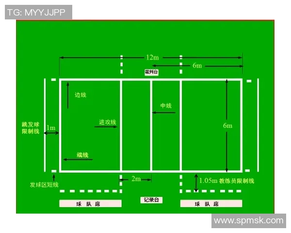 赛后分析：深圳排球队与重庆排球队在比赛中的战术灵活性对比探讨