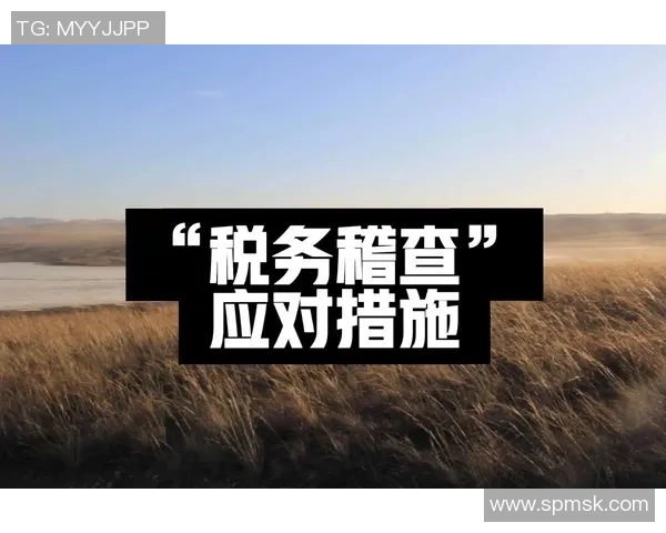 税务政策改革与企业合规管理的挑战与对策分析