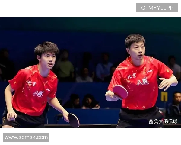乒乓球精神:北京乒乓球队奋斗历程的真实记录与感悟 乒乓球精神:北京乒乓球队奋斗历程的真实记录与感悟