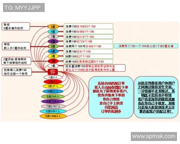 南京乒乓球队运营模式解析与发展策略探讨